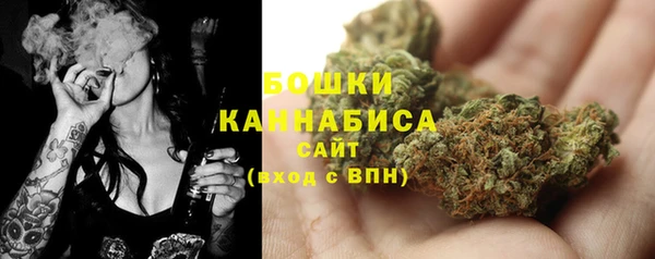 мдпв Дмитров