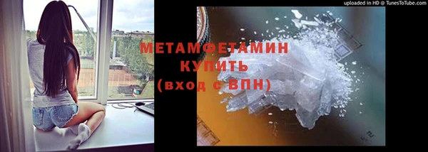 прущие грибы Мегион