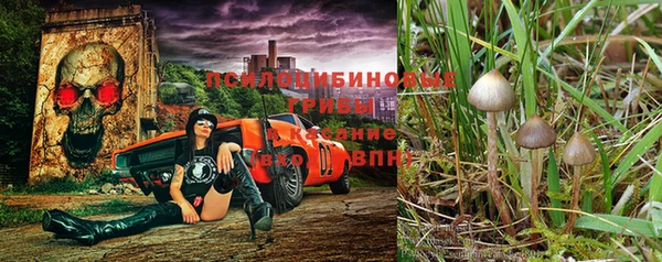 MDMA Premium VHQ Медногорск