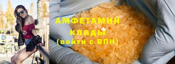 прущие грибы Мегион