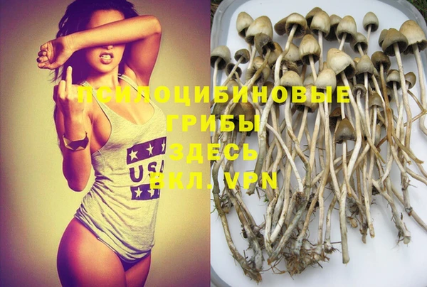 прущие грибы Мегион