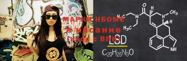 прущие грибы Мегион